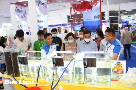 Phát triển thế mạnh từ con tôm: Cần lời giải cho bài toán xử lý nước thải