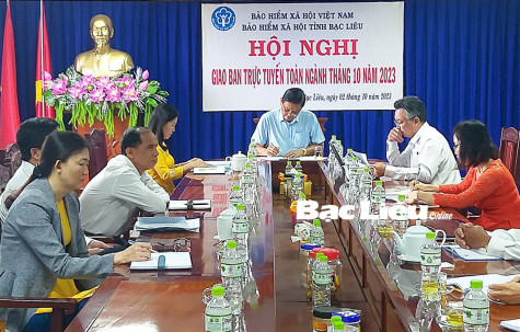 BHXH tỉnh tham gia sơ kết công tác BHXH toàn quốc