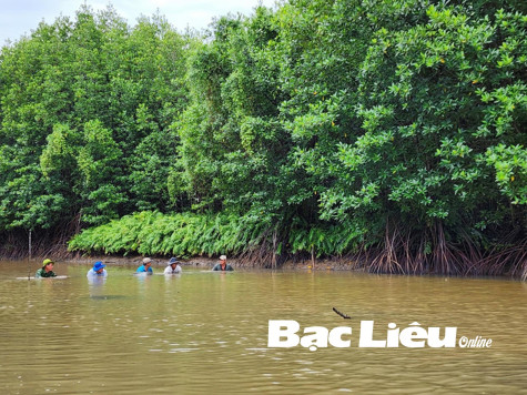 Bạc Liêu: Nhiều giải pháp giảm phát thải khí nhà kính