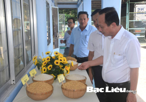 Hành trình xây dựng hạt ngọc Bạc Liêu