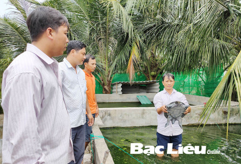 Anh Tô Văn Tân: Từ nghèo khó nỗ lực vươn lên khá giàu