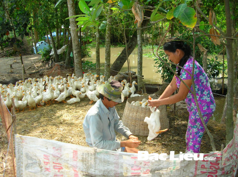 Gần 3.000 lao động nông thôn được đào tạo nghề