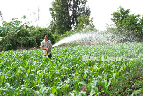 Phát triển kinh tế tuần hoàn: Nhu cầu bức thiết cho phát triển bền vững