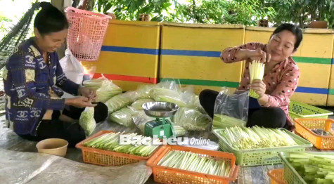 Hiệu quả từ mô hình trồng năn bộp
