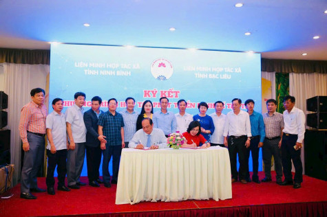 Bạc Liêu - Ninh Bình: Hợp tác phát triển kinh tế tập thể