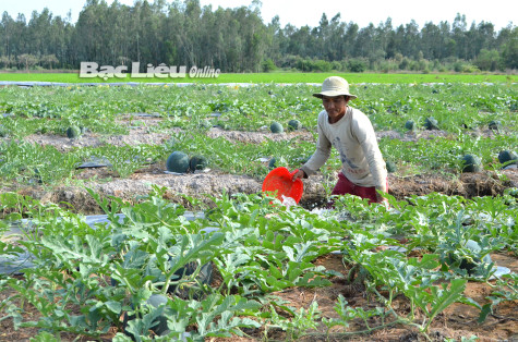 Huyện Phước Long: Khởi sắc trong phát triển kinh tế - xã hội