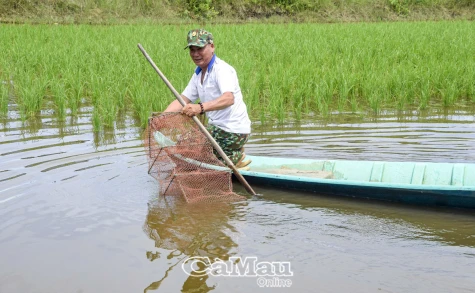 Tôm ASC hướng ngoại