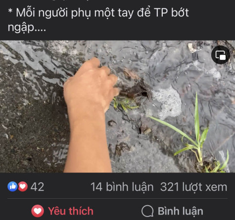 Xả rác gây nghẹt cống