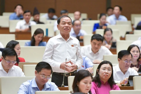 Đánh giá cao tinh thần sửa đổi của dự luật