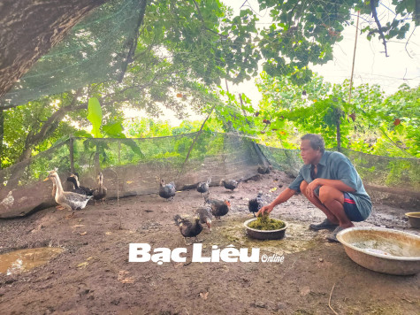 Hiệu quả từ các chính sách hỗ trợ hộ nghèo vùng đồng bào dân tộc