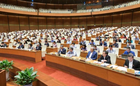 Chất vấn toàn diện trên các lĩnh vực