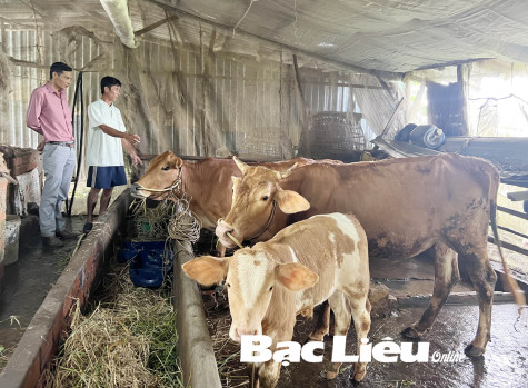 Anh Lý Minh Phụng: Đa dạng mô hình sinh kế để thoát nghèo bền vững