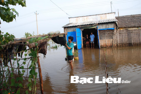BẠC LIÊU: CHỦ ĐỘNG THÍCH ỨNG VỚI BIẾN ĐỔI KHÍ HẬU