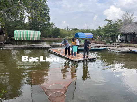 Làm du lịch dưới tán rừng