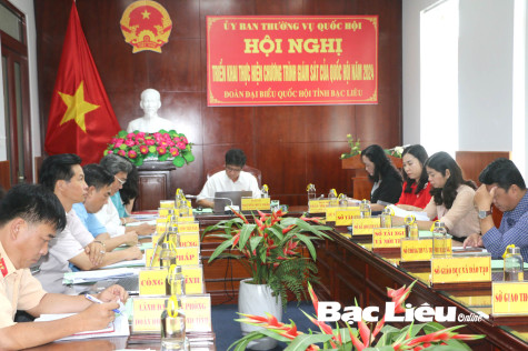 Triển khai chương trình giám sát của Quốc hội năm 2024