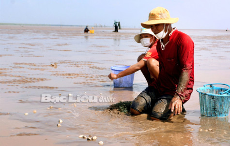 Phát triển hợp tác xã nông nghiệp: Nhiều lợi ích thiết thực cho nông dân