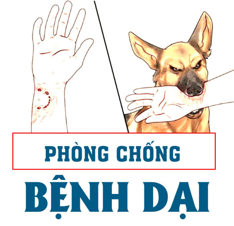 Bệnh dại rất nguy hiểm nhưng hoàn toàn có thể phòng ngừa được