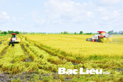 Huyện Phước Long: Thu hút đầu tư để phát triển nông nghiệp
