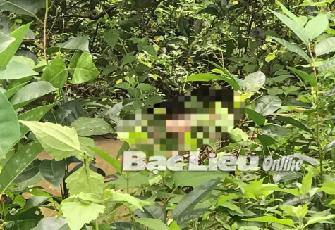 Xã Hưng Hội (huyện Vĩnh Lợi): Phát hiện người đàn ông tử vong ở mương nước sau nhà