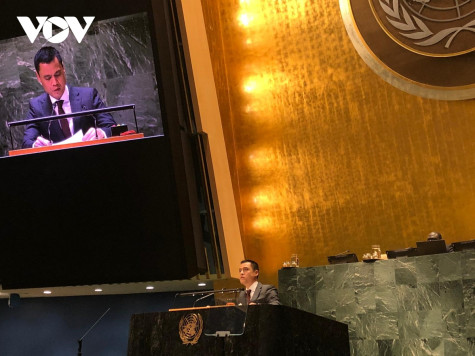 Việt Nam đóng góp 500.000 USD hỗ trợ người dân Palestine