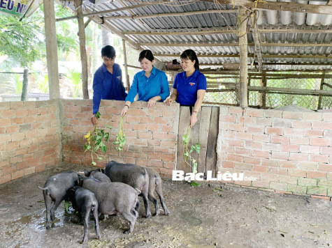 Những mô hình kinh tế hiệu quả của thanh niên