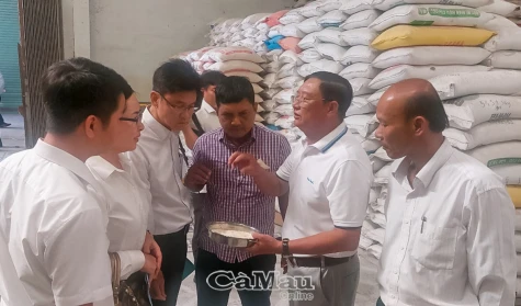 Hỗ trợ doanh nghiệp nâng cao giá trị gạo Cà Mau