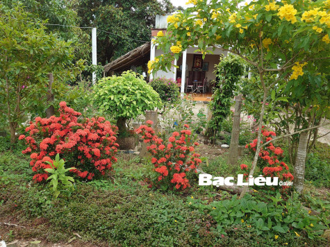 Bình yên là khoảng sân nhà