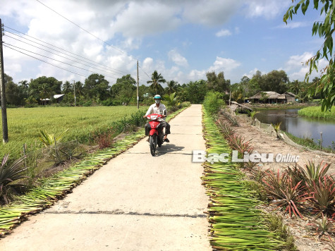 Những công việc “hái” ra tiền lúc nông nhàn