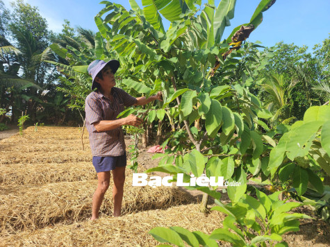 Ông Trần Hán Khơi:​ Trưởng ấp tiên phong xây dựng đời sống văn hóa