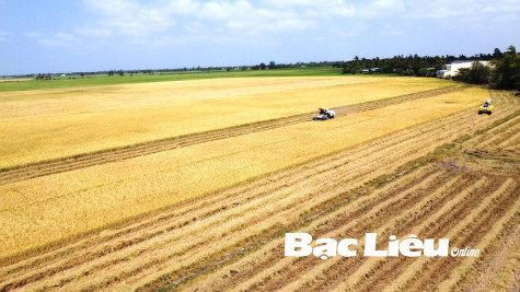 KHẨN TRƯƠNG CHẶNG ĐƯỜNG “NƯỚC RÚT”