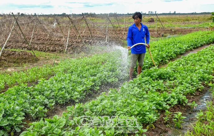 Thiết thực giảm nghèo trong đồng bào dân tộc