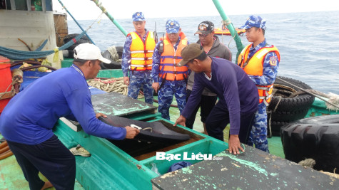 Bộ Tư lệnh Vùng Cảnh sát biển 4: Bắt giữ tàu vận chuyển khoảng 130.000 lít dầu DO trái phép
