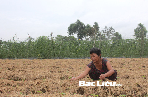 Bà Lê Thị Mận:​ Gương sáng trong nỗ lực thoát nghèo