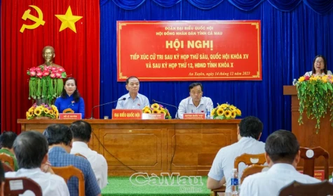 Bức xúc dân sinh thì không thể đợi đến tiếp xúc cử tri