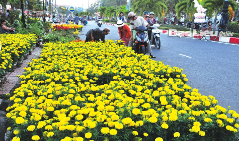 Thủ tướng chỉ thị tăng cường các biện pháp bảo đảm đón Tết Nguyên đán Giáp Thìn 2024 vui tươi, lành mạnh, an toàn, tiết kiệm
