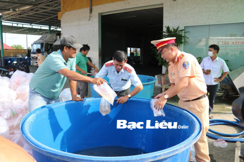 Tiêu hủy 3,3 triệu con tôm giống không qua kiểm dịch
