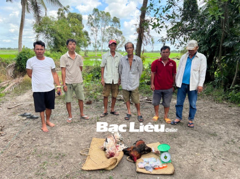 Huyện Hồng Dân: Bắt quả tang 7 đối tượng đá gà ăn tiền