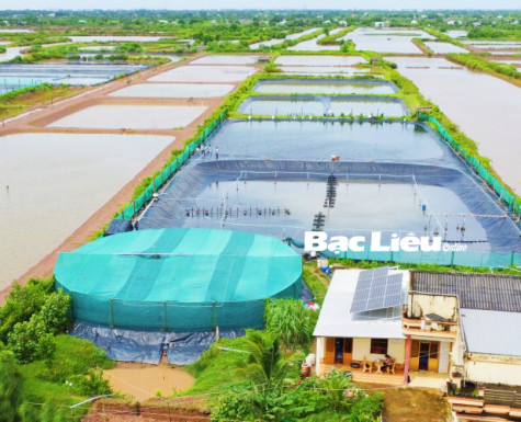 Nâng cao nhận thức của người dân về chuyển đổi năng lượng và thích ứng với biến đổi khí hậu