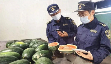 Trung Quốc thông báo nhập khẩu chính ngạch dưa hấu Việt Nam