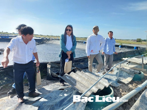 Huyện Đông Hải: Quan tâm thực hiện tốt các phong trào thi đua yêu nước
