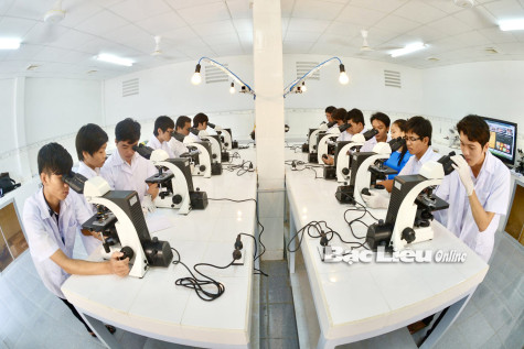 Năm 2023: Thực hiện tốt công tác đào tạo nghề và giải quyết việc làm