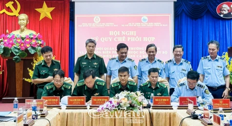 Phối hợp chống buôn lậu, gian lận thương mại và hàng giả