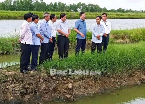 Tư duy đột phá, hành động quyết liệt: “Đường băng” cho phát triển