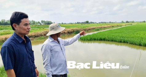 Nông nghiệp Giá Rai - những bước tiến vượt bậc