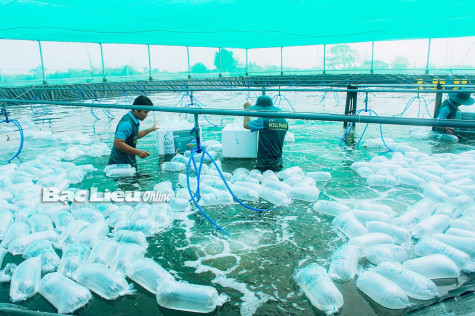 Thành phố Bạc Liêu: Quyết tâm tăng trưởng cao