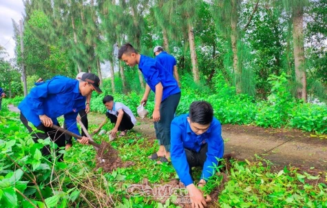 "Sức sống xanh - Vì Cà Mau xanh" là công trình thanh niên tiêu biểu toàn quốc năm 2023