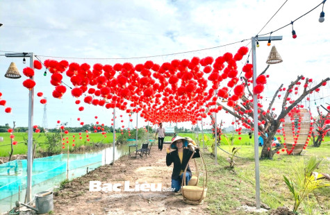 Sôi động những điểm check-in đón Tết