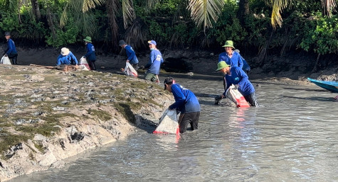 Mùa tát đìa ở quê