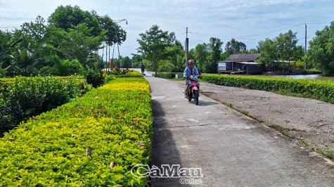 Giải ngân hơn 90 tỷ đồng Chương trình mục tiêu phát triển vùng DTTS