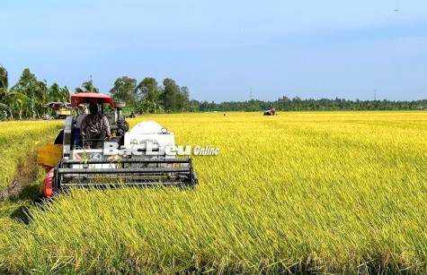 Nâng cao giá trị gia tăng cho nông nghiệp
